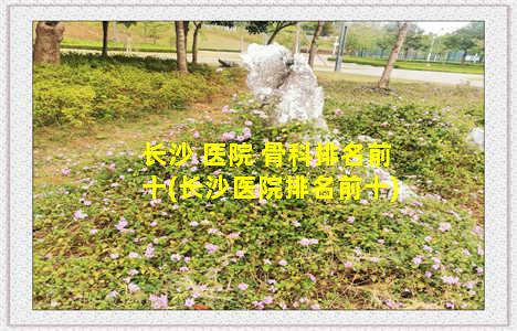 长沙 医院 骨科排名前十(长沙医院排名前十)